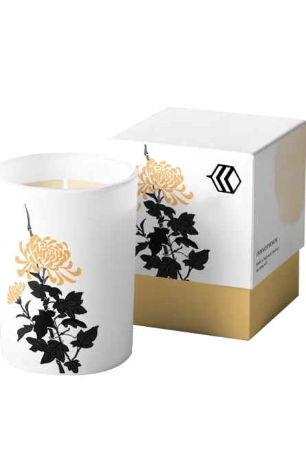 Candle Boxes